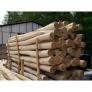 Piquet cl�ture bois