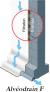 Drainage et protection