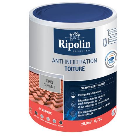 ripolin anti infiltration toitures tuile pour sortie vmc renovation toiture veranda