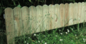 Bordure dco  planter