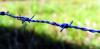 Bordure dfense