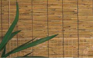 Store Bambou
