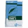 Pltre Lutce 2000 C