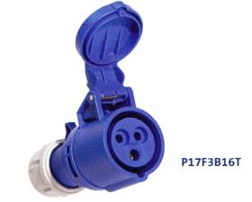 Prolongateur P17 250V 16A 2P+T