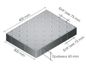 Dalle pododactile