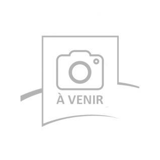 Chteauvieux