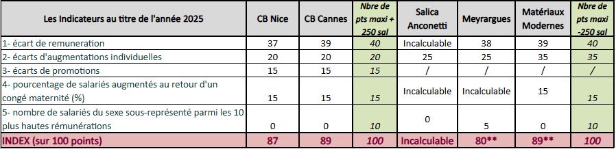 Index &Eacute;galit&eacute; Femmes-Homme en 2020 pour l'entreprise Ciffr&eacute;o Bona
